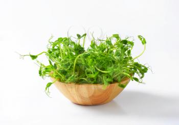 Bowl of green pea sprouts
