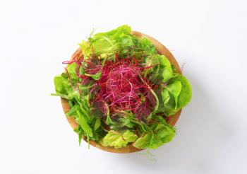 Bowl of mixed green salad