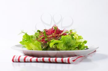 Mixed green salad with pea and beetroot sprouts