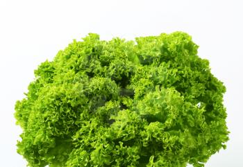 Lettuce Lollo Bionda - green continental curly lettuce