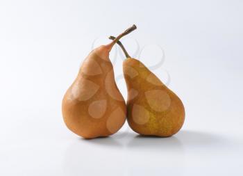 Two European pears with elongated slender neck and russeted skin
