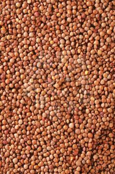 Raw whole red lentils - background