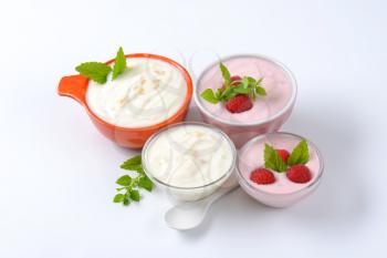 Bowls of yogurt with fruit