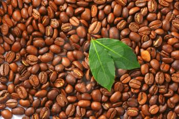 Medium roasted coffee beans background