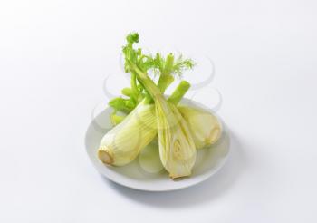 fresh fennel bulbs on white plate