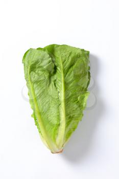 head of romaine lettuce on white background