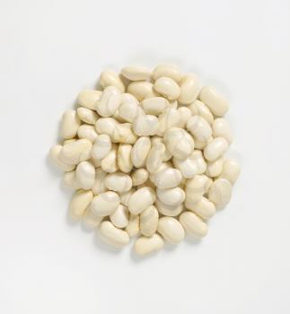 heap of raw white beans on white background
