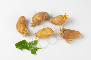 group of potatoes growing sprouts