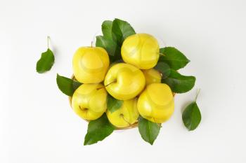 basket of yellow apples with leaves on white background
