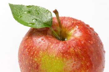 detail of washed red apple on white background