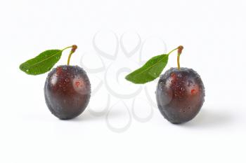 two washed plums with leaves on white background