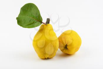 two yellow pears on white background