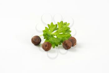 allspice and parsley leaf on white background