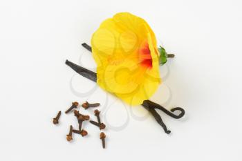 hibiscus flower and spices on white background