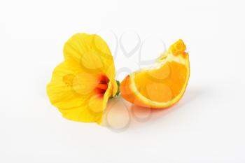 hibiscus flower and slice of orange on white background