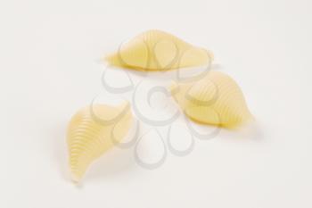 three pieces of pasta shells on white background - close up