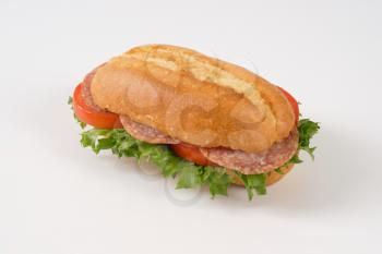 crusty roll sandwich with salami on white background
