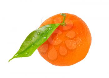 washed tangerine with leaf on white background