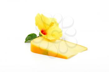 slice of gouda cheese with hibiscus flower on white background