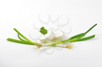 Wheels of soft white cheese and spring onion