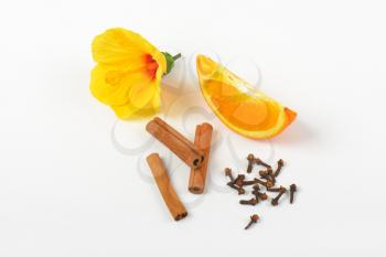 hibiscus, orange, cinnamon and cloves on white background