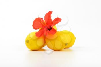 ripe lemons with red hibiscus bloom on white background