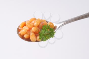 spoon of baked beans in tomato sauce