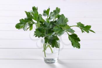 glass of fresh parsley leaves on white wooden background