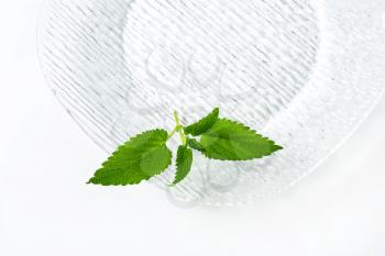 Fresh mint leaves on a glass plate