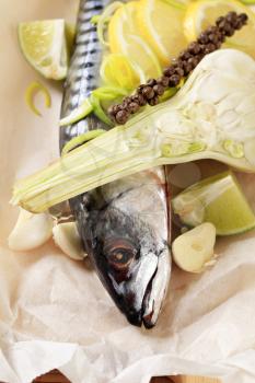 Fresh mackerel and other ingredients on paper