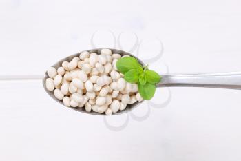 spoon of raw white beans on white wooden background
