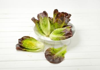 heads of fresh lettuce in white bowl