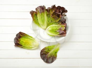 heads of fresh lettuce in white bowl