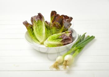 bunch of spring onion and bowl of fresh lettuce on white wooden background