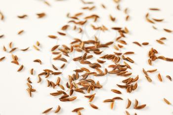 fingerful of caraway seeds on white background - detail
