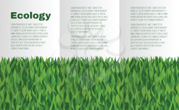 Booklet layout with green grass on the theme of ecology. There is a place for text.