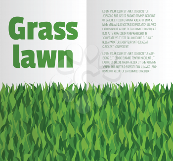 Booklet layout with green grass. There is a place for text. Can be used for package design