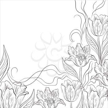 Flower background, contours flowers tulips on white. Vector