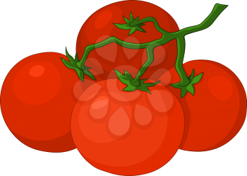 Cluster red fresh tomatoes on a green branch, vector