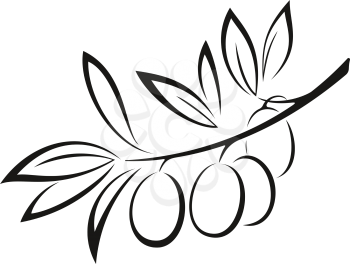 Olive Branch with Berries and Leaves Monochrome Black Pictogram Icon Isolated on White Background. Vector