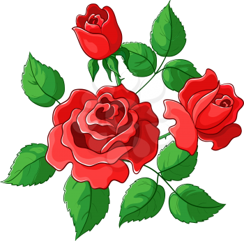 Flowers roses, vector, red buds and green leaves