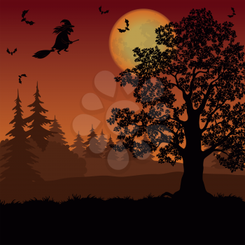 Holiday Halloween landscape with witch, trees, moon and bats. Element of this image furnished by NASA (www.visibleearth.nasa.gov). Vector