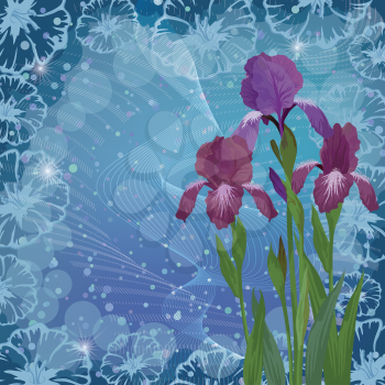Flowers iris on abstract floral background, picture for holiday design. Vector eps10, contains transparencies