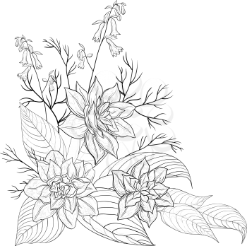 Flowers and leaves narcissuses, vector graphic, monochrome contours
