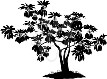 Exotic Plant with Leaves and Grass, Black Silhouettes Isolated on White Background. Vector