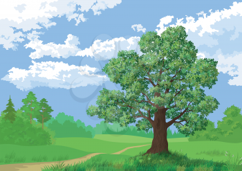 Landscape, summer green forest, oak tree and blue sky. Vector