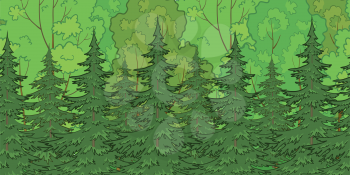 Seamless background, green summer forest with fir and deciduous trees. Vector