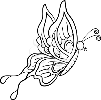 Vector, butterfly, hand-draw monochrome contours on a white background