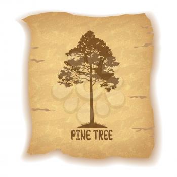Pine Tree Silhouette and the Inscription on the Vintage Background of an Old Sheet of Paper. Eps10, Contains Transparencies. Vector