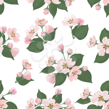 Seamless floral pattern, pink apple tree flowers and green leaves isolated on white background. Vector